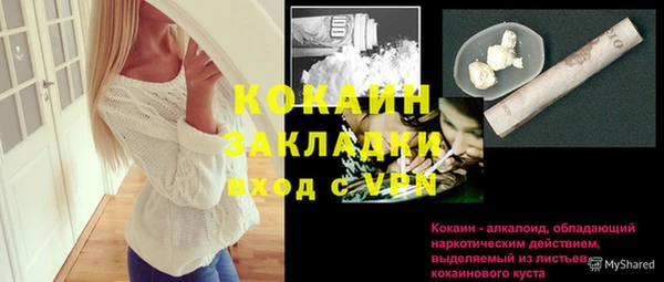 Альфа ПВП Инсар