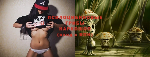 Альфа ПВП Инсар