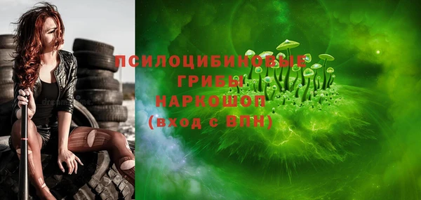 Альфа ПВП Инсар
