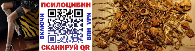 Купить  Воскресенск  Псилоцибиновые грибы Cubensis 